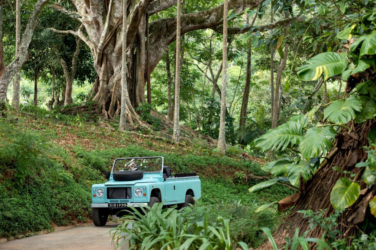 W15 Hanthana Estate Kandy Ngoại thất bức ảnh